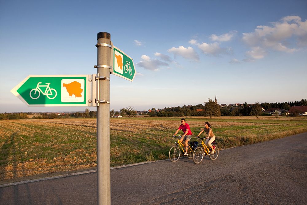 Zwei Menschen radeln auf einer Landstraße neben einem Wegweiser mit Radroutenmarkierungen, im Hintergrund sind Felder und ein Dorf zu sehen, die an die malerischen Wege entlang der saarländischen Traumschleifen erinnern.