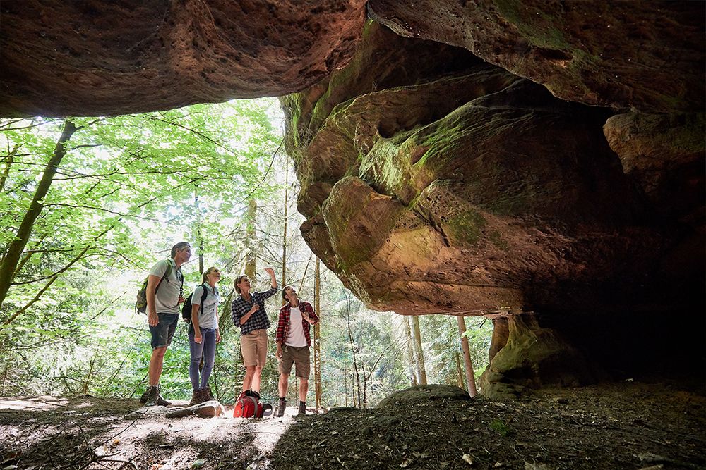 Eine Gruppe von vier Abenteurern in Outdoor-Kleidung erkundet eine große Felsformation entlang der Premium-Wanderwege in einem Waldgebiet. Sonnenlicht fällt durch die Bäume und taucht diesen saarländischen Ausflug in einen magischen Glanz.