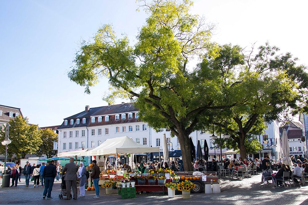 Inmitten des lebhaften Markttreibens im Freien, wo Menschen unter großen Bäumen einkaufen und an Ständen stöbern, sorgen Sonnenblumen und frische Produkte für einen Farbtupfer. Saarbrückens markante weiße Gebäude ragen stolz vor dem Hintergrund eines klaren blauen Himmels empor.