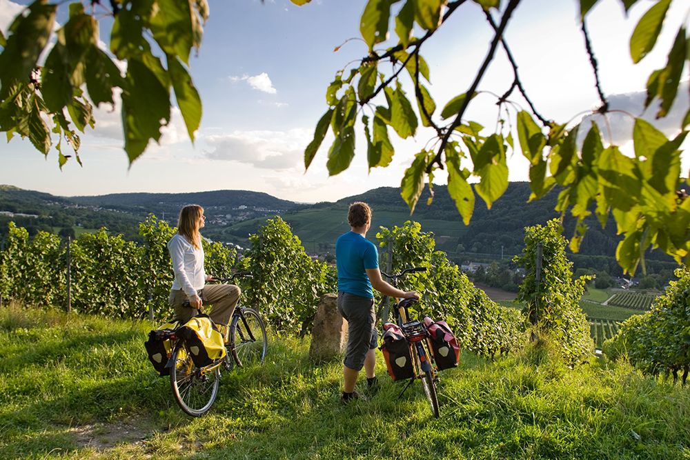 Neben einem Weinberg bewundern zwei Menschen mit Fahrrädern bei leicht bewölktem Himmel die malerische Hügellandschaft des Saarlandes, umgeben vom Reiz der Traumschleifen und ihrer renommierten Premium-Wanderwege.