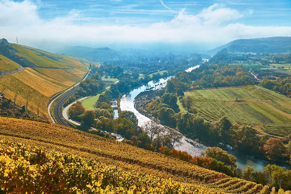 Unter einem strahlend blauen Himmel fließt ein gewundener Fluss durch eine Landschaft aus sanften Weinbergen und Weingütern im Saarland.