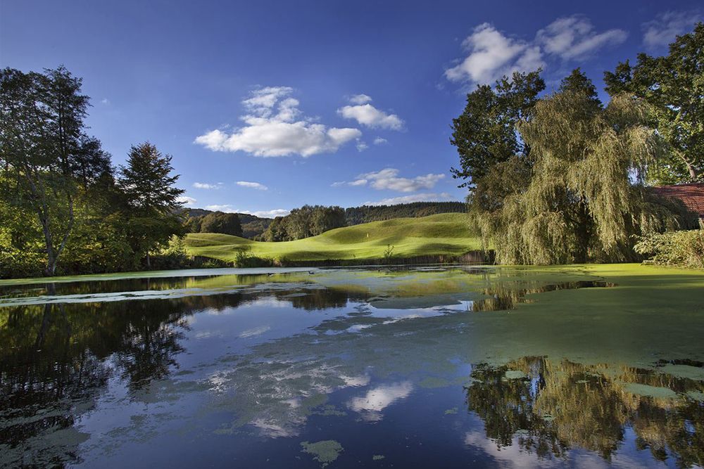Ein ruhiger Teich mit Algenflecken spiegelt Bäume und einen bewölkten blauen Himmel wider und erinnert an die ruhigen Golfplätze. Sanfte grüne Hügel und Bäume umgeben das Wasser unter einem sonnigen Himmel und laden zum Nachdenken über Golfsport in perfekter Harmonie mit der Natur ein.