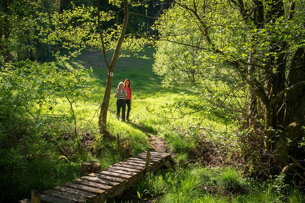 Zwei Menschen stehen auf einer schmalen Holzbrücke in einer sonnenbeschienenen, grasbewachsenen Waldlichtung, umgeben von grünen Bäumen und Blättern, und erkunden einen der renommierten Premium-Wanderwege des Saarlandes.