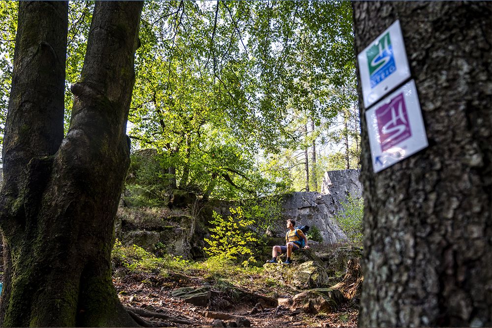Ein Wanderer sitzt auf einem Felsen in einem sonnenbeschienenen Wald, umgeben von Bäumen und Laub, und Wegmarkierungen weisen ihm den Weg. Die Szene fängt das Wesen der saarländischen Premium-Wanderwege ein und lädt alle ein, ihre bezaubernden Pfade zu erkunden.