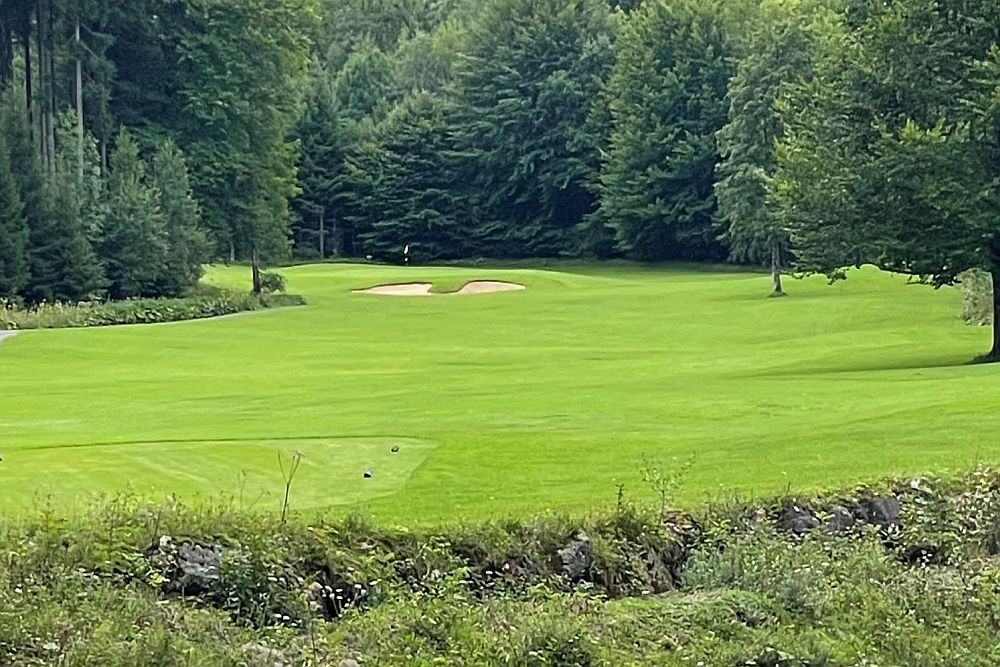 Ein grüner Golfplatz mit Sandbunkern, umgeben von Bäumen, unter einem bewölkten Himmel bietet Golfern aller Handicap-Klassen eine ruhige Kulisse, um den Sport zu genießen.
