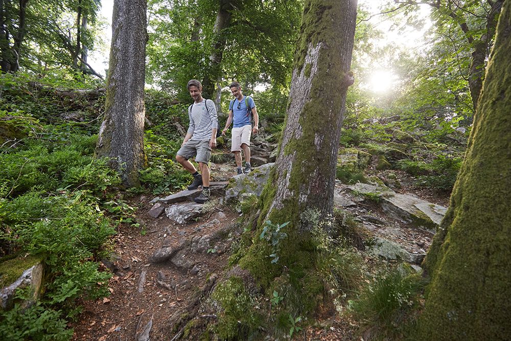 Zwei Menschen wandern einen felsigen Waldweg im Saarland entlang, umgeben von hohen Bäumen und viel Grün, durch dessen Blätter das Sonnenlicht fällt. Der Weg ist Teil der renommierten Premium-Wanderwege und bietet auf Schritt und Tritt atemberaubende Ausblicke.