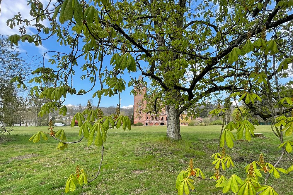 Durch die Zweige eines grünblättrigen Baums ist auf einer Wiese unter einem bewölkten blauen Himmel ein Backsteingebäude zu sehen.