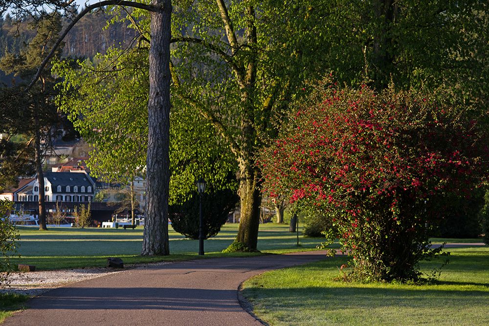 Ein gepflasterter Weg schlängelt sich durch einen üppigen Park mit Bäumen und blühenden Büschen. Im Hintergrund ist ein Haus zu sehen und Sonnenlicht fällt durch das Laub.