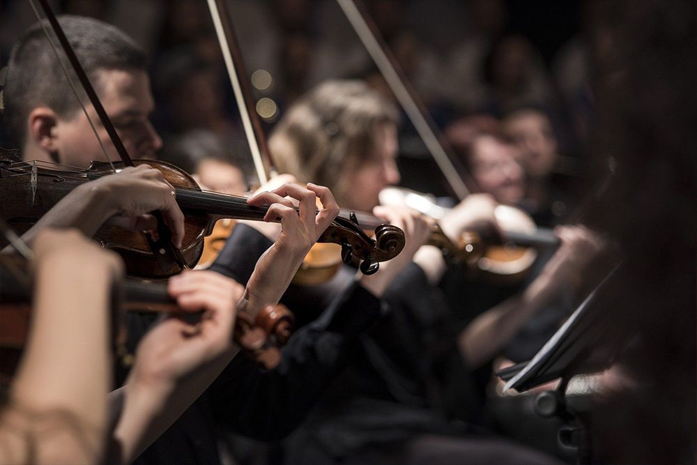 Während der Kammermusiktage spielen Musiker in einem Orchester Geige, wobei sie sich vor einem unscharfen Hintergrund auf ihre Hände und Instrumente konzentrieren und so ein umfassendes Musikerlebnis schaffen.